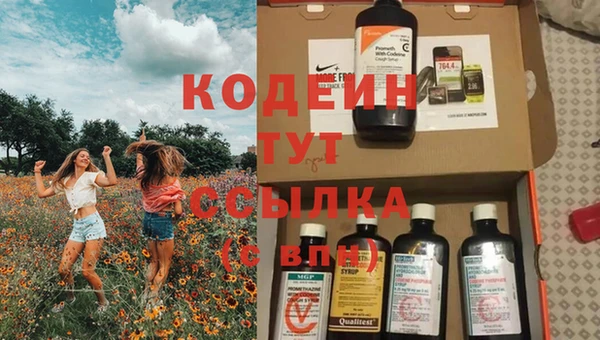 крисы Новозыбков