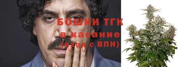 крисы Новозыбков