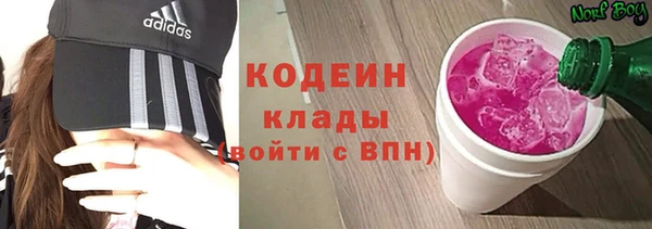 бошки Няндома