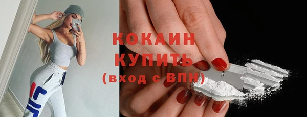 бошки Няндома