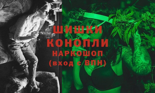 крисы Новозыбков