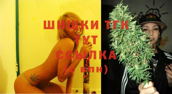 крисы Новозыбков