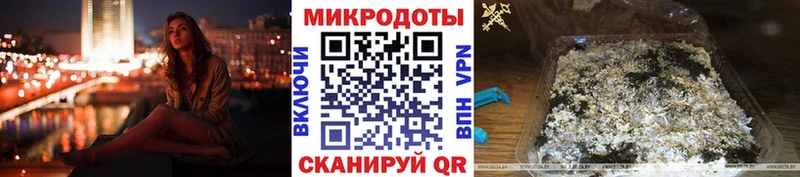 где купить   Заволжье  Псилоцибиновые грибы мицелий 