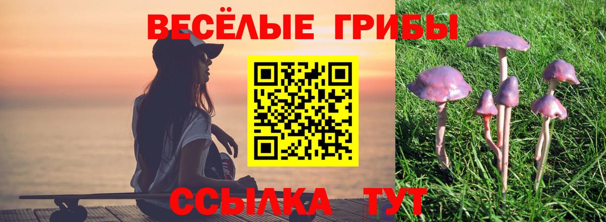 Галлюциногенные грибы ЛСД Заволжье